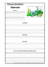 Pflanzensteckbrief-Seerose.pdf